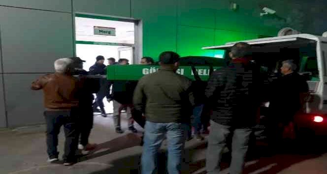 Ağaçtan düşen güvenlik korucusu hayatını kaybetti