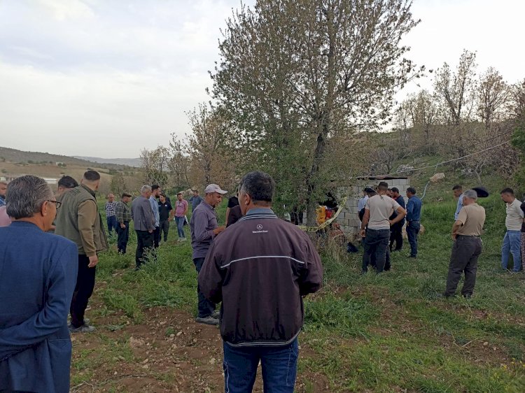Hayvan otlatan yaşlı adam kalp krizi sonucu hayatını kaybetti 