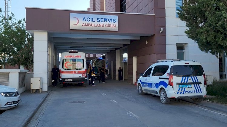 Evden kaçan köpek sokakta yürüyen kızlara saldırdı
